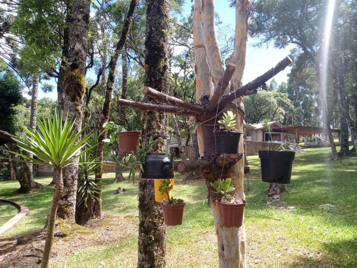 Cabana Romance - Recanto Da Natureza กาเนรา ภายนอก รูปภาพ