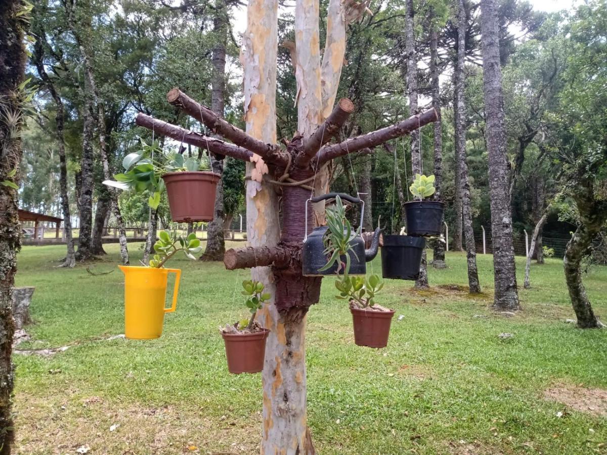 Cabana Romance - Recanto Da Natureza กาเนรา ภายนอก รูปภาพ