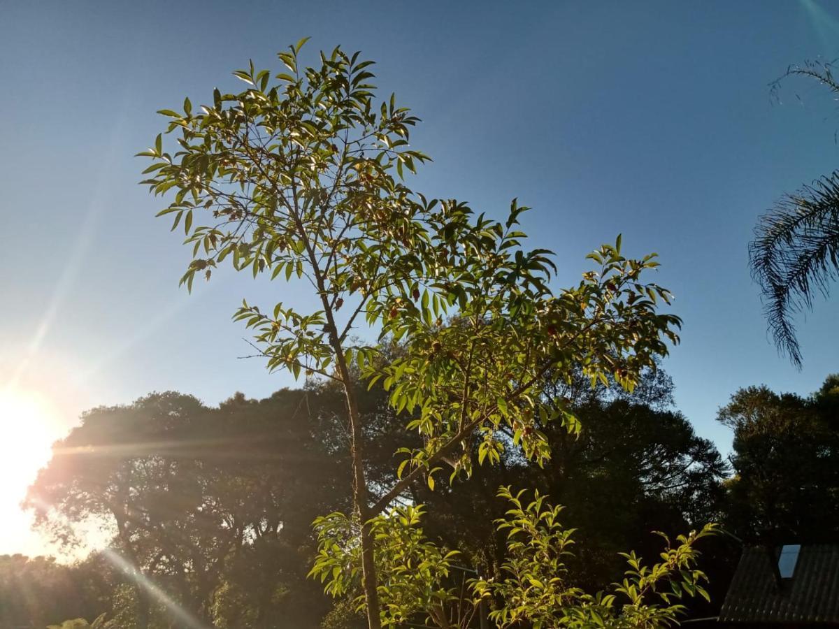 Cabana Romance - Recanto Da Natureza กาเนรา ภายนอก รูปภาพ